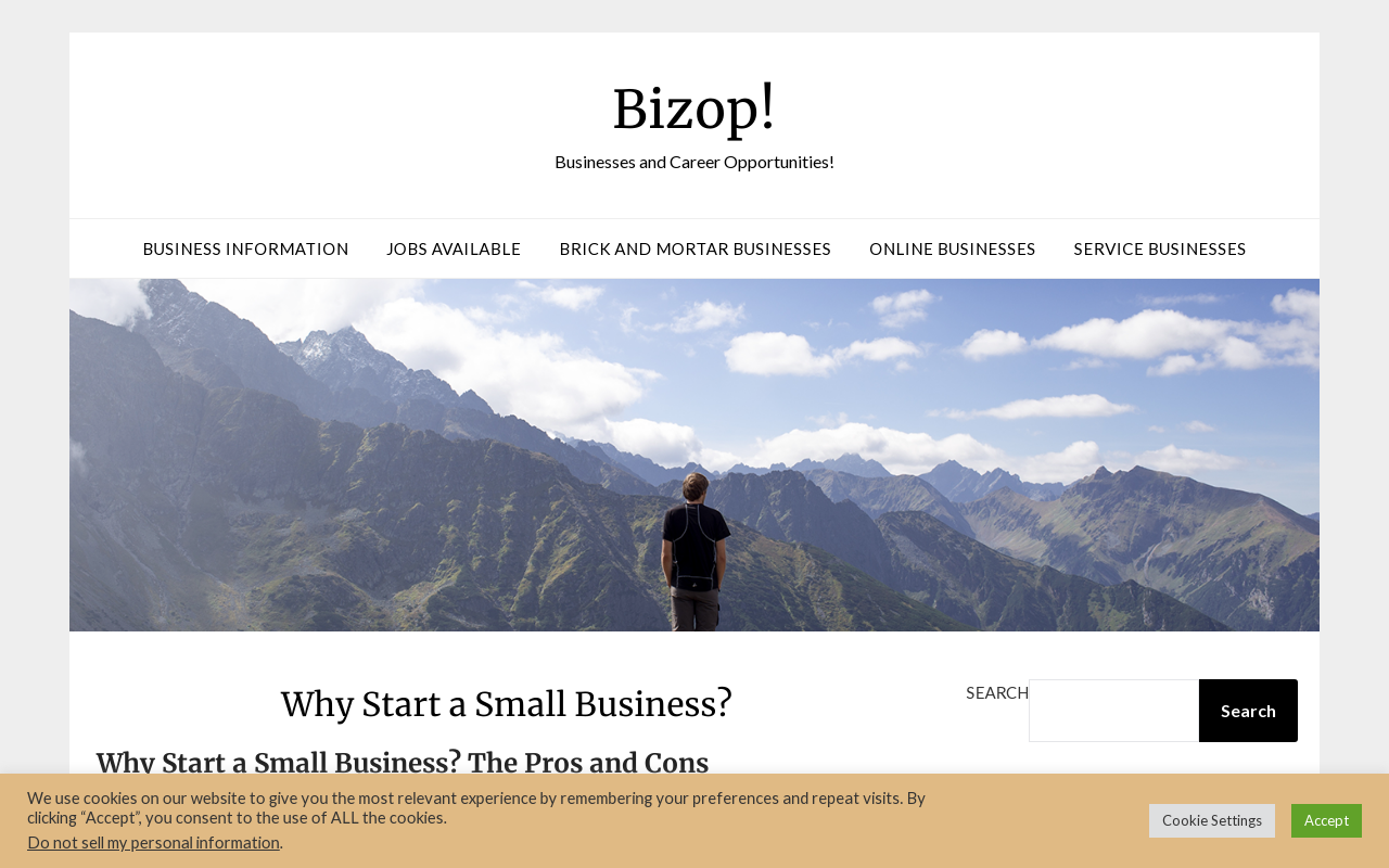 Understanding BizOp: A Gateway to Business Opportunities